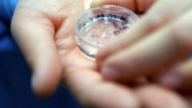 广州试管婴儿的费用一般是多少？试管婴儿的步骤是什么？