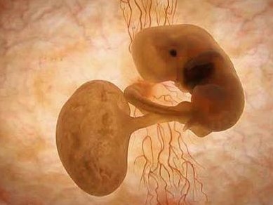 2026最新版海南三亚三大助孕公司排名，三亚市永泰位居榜首