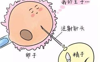 2026年做试管在俄罗斯要花多少钱？