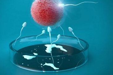 2026年未婚单身去大同做试管费用解析，附详细费用明细