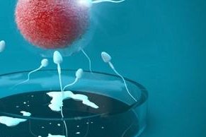 52岁不一定不能做试管婴儿，给卵或单独怀孕的希望