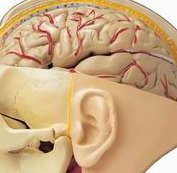 2026年子宫肌瘤去泰国曼谷医院做三代试管贵吗？费用明细是怎么样的？