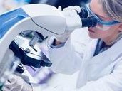 2026陕西三代试管助孕三代试管助孕价格