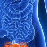 试管促排卵过程包括三个关键步骤