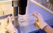 2026年未婚去宁波市妇孩子童医院做试管流程出炉，未婚单身女性试管攻略