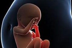 上饶市有试管婴儿，上饶妇幼保健医院试管怎么样？