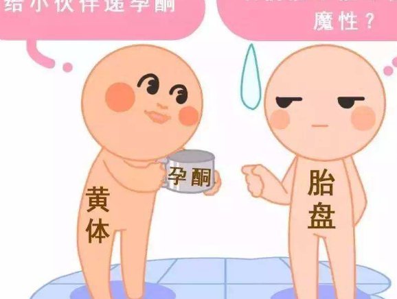 泰国三代试管反响不错的具体方面