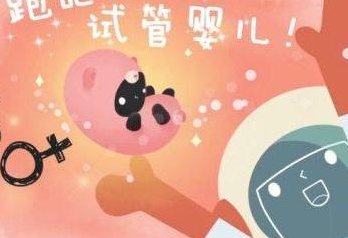 襄阳市中心医院进行试管婴儿治疗大概需要花费多少钱呢？详细费用解析